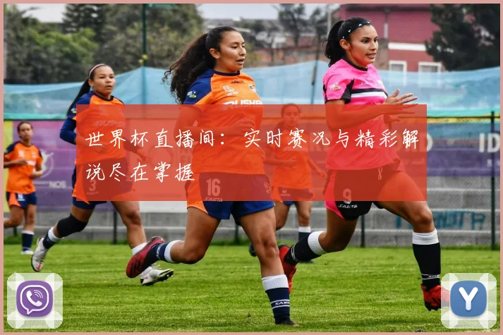 世界杯直播间：实时赛况与精彩解说尽在掌握