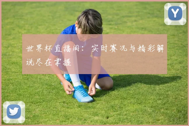 世界杯直播间：实时赛况与精彩解说尽在掌握